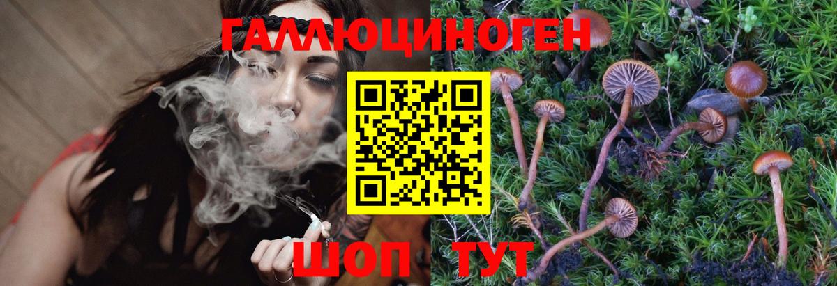 Гагарин  Галлюциногенные грибы Magic Shrooms  Вход с VPN  Галлюциногенные грибы прущие грибы 